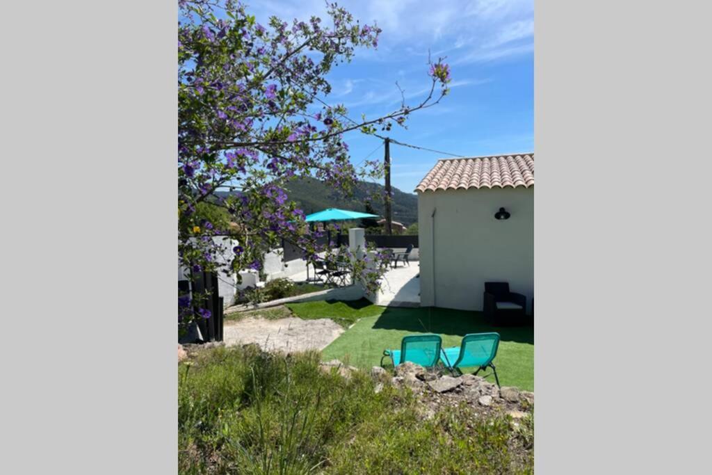 Maison Avec Jardin, Parking Entre Mer Et Montagne Le Revest-le-Eaux Eksteriør billede